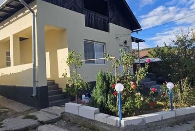 Casă cu 2 camere cu Teren 1300 Mp în Davidești