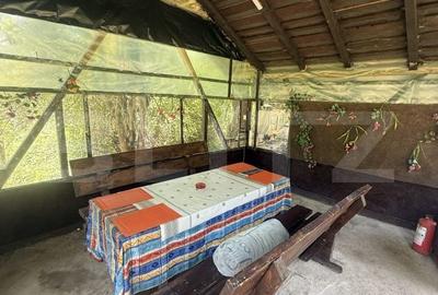Casă cu 3 camere decomandat în Pietrari