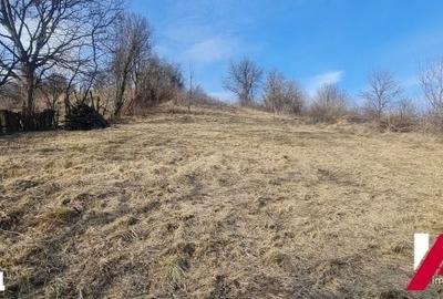 Teren Construcții intravilan de 1583 mp, în Cisnădie - 6