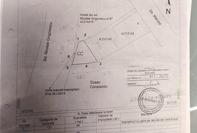Casă cu 3 camere cu Teren 112 Mp în Nicolae Grigorescu - 4
