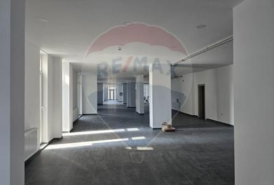 Spațiu comercial, de 400 mp, în Vitan - 5