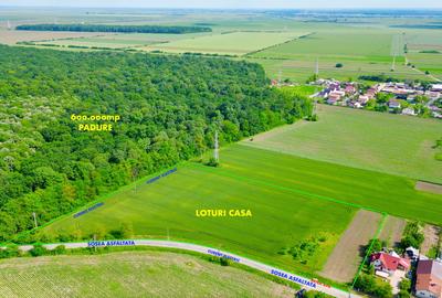 Teren Construcții intravilan de 417 mp, în Valea Călugărească - 3