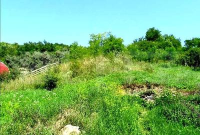 Teren de 15554 mp, în Gheorgheni