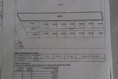 Teren de 10000 mp, în Glăjărie - 1