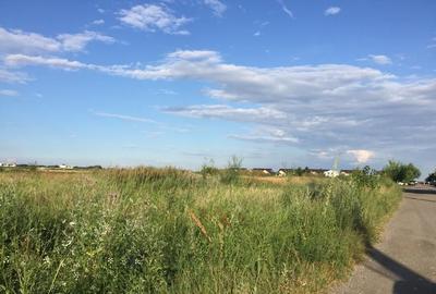 Teren Construcții intravilan de 800 mp, în Țegheș - 8