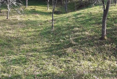 Teren de 5900 mp, în Vălișoara - 8