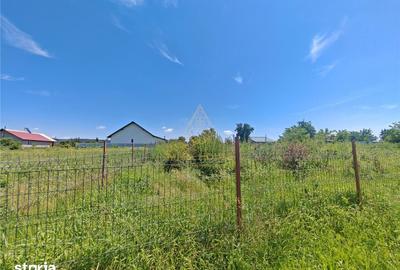 Teren de 1450 mp, în Letea Veche - 10