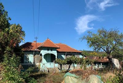 Teren de 1734 mp, în Pietroasele - 5