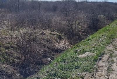 Teren Construcții intravilan de 8300 mp, în Dara - 3