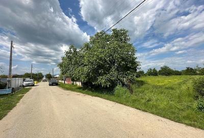 Teren de 4000 mp, în Drăguțești - 3