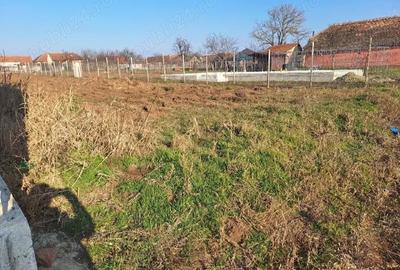 Teren de 1000 mp, în Aluniș