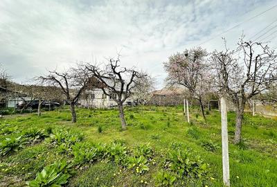 Casă cu Teren 2470 Mp în Mârțești - 16