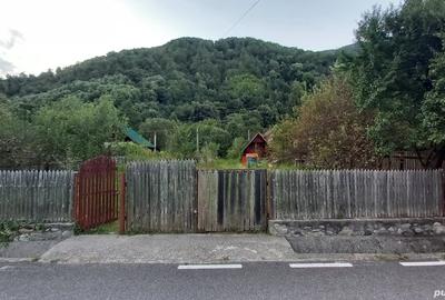 Teren în Păscoaia