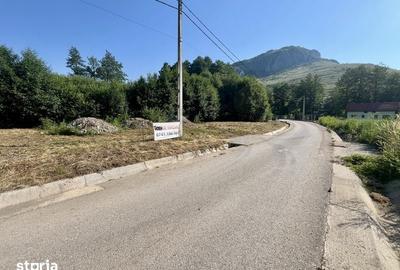 Teren de 700 mp, în Livezile - 5