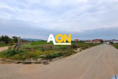 Teren Construcții intravilan de 12300 mp, în Central - 2