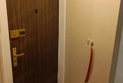 Garsonieră semidecomandată în Tineretului - 1