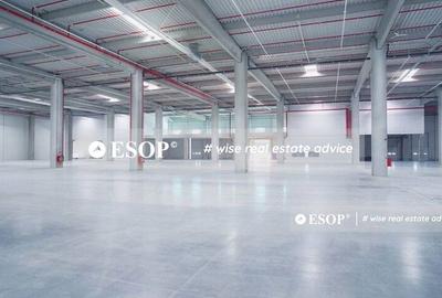 Spațiu industrial, de 2,300 mp, în Mogoșoaia - 2