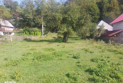 Teren de 1784 mp, în Avram Iancu - 1