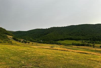 Teren agricol extravilan de 3408 mp, în Gura Râului - 2