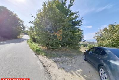 Teren Construcții intravilan de 718 mp, în Sălicea - 2