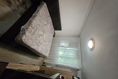 Apartament cu 2 camere decomandat în Giurgiului - 3