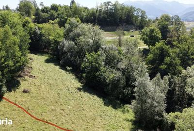 Teren de 2200 mp, în Central