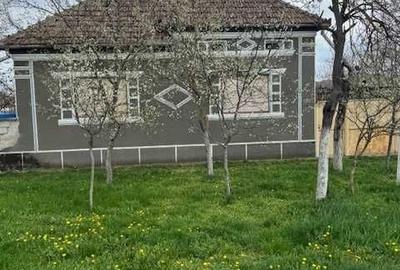 Casă cu 3 camere în Livada - 3
