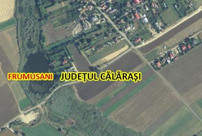 Teren de 12600 mp, în Frumușani