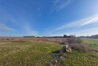 Teren Construcții intravilan de 170000 mp, în Nord - 5