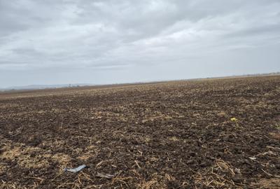 Teren agricol extravilan de 39144 mp, în Păulești - 15