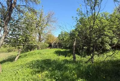 Casă cu 3 camere în Teiu - 1