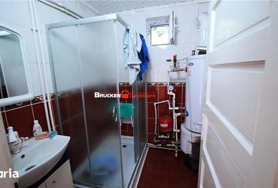 Casă cu 4 camere cu Teren 1737 Mp în Cărpinet - 14