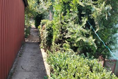 Casă cu 2 camere în Central