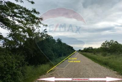 Teren Construcții intravilan de 3700 mp, în Gulia - 4