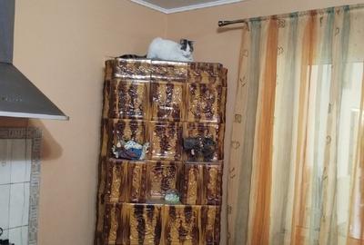 Casă individuală cu 3 camere în Bila - 5