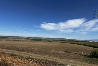 Teren agricol extravilan de 567 mp, în Rusciori - 3