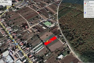 Teren Construcții intravilan de 1500 mp, în Sud - 6