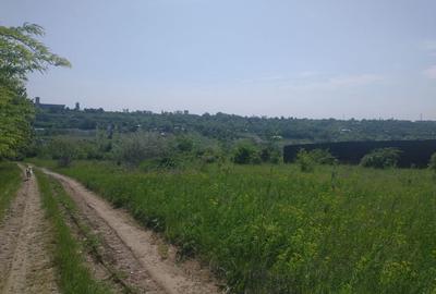 Teren de 2800 mp, în Central