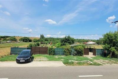 Casă individuală cu 3 camere cu Teren 3100 Mp în Șura Mică - 2