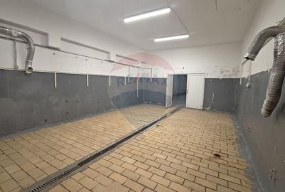 Spațiu industrial, de 265 mp, în Dâmbul Rotund