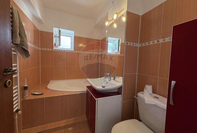 Apartament cu 2 camere semidecomandat în Tomis II - 5