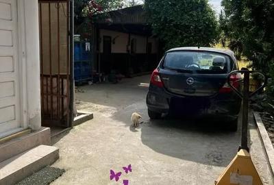 Casă cu 4 camere cu Teren 746 Mp în Nojorid - 7