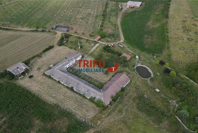 Spațiu industrial, de 1,190 mp, în Ighiu