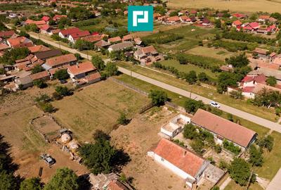 Teren Construcții intravilan de 1492 mp, în Nădab - 8