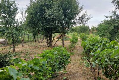 Casă cu 4 camere în Șiria