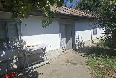 Casă cu 3 camere cu Teren 1355 Mp în Independența