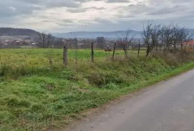 Teren de 3100 mp, în Central