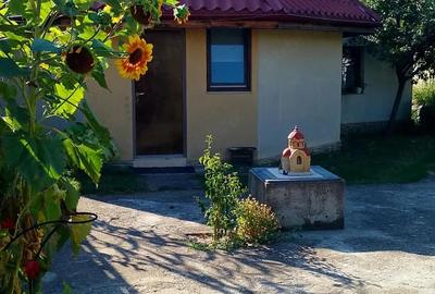 Casă cu 2 camere cu Teren 2000 Mp în Ștefan cel Mare