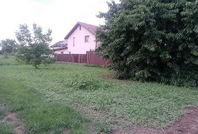 Teren de 500 mp, în Șerbănești - 2