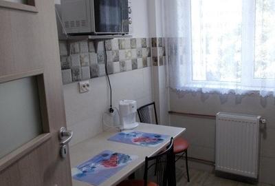 Apartament cu 2 camere semidecomandat, mobilat în Costin Georgian - 5